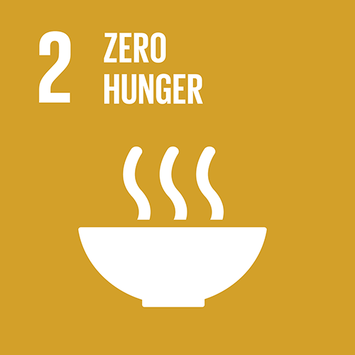 2. End hunger, achieve food security and improved nutrition and promote sustainable agriculture